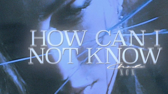 How Can I Not Know What I Need Right Now (Visualiser) by Charli xcx